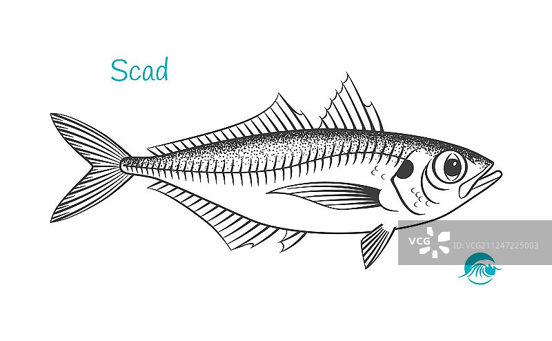 手绘鲹鱼图片素材