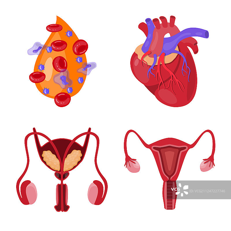 人体器官标志合集图片素材