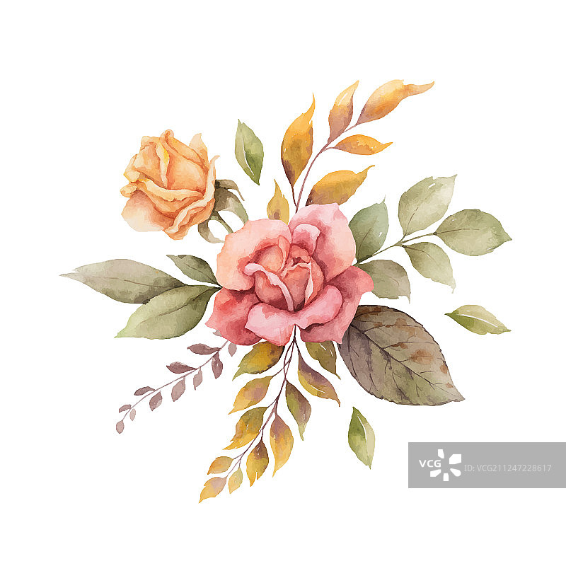 水彩秋季玫瑰花卉设计图片素材