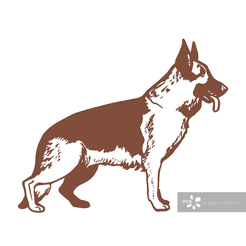 手绘风格的德国牧羊犬图片素材