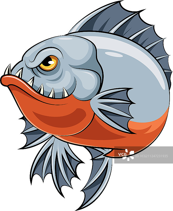 愤怒的食人鱼图片素材