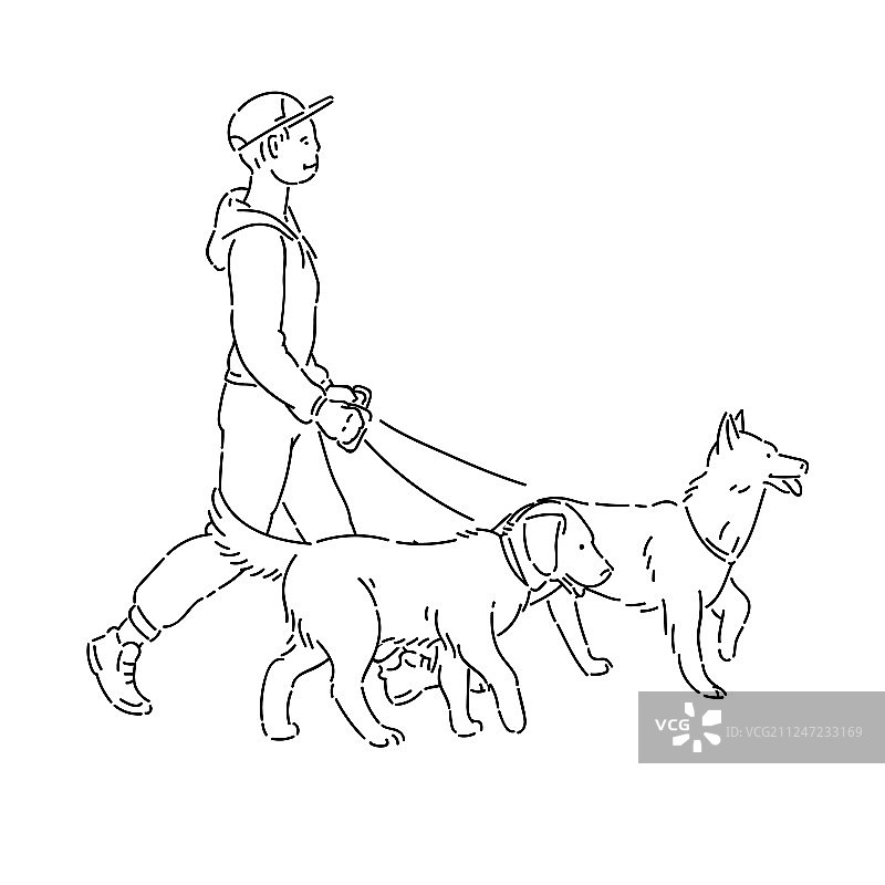 遛着两条大狗的男人图片素材