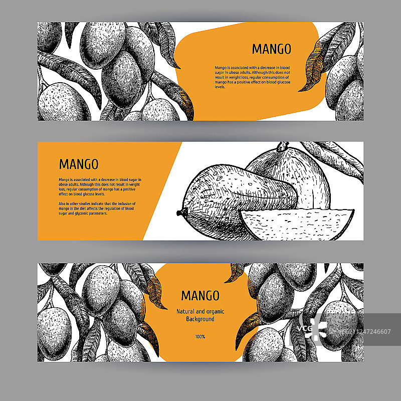 芒果黑白设计水果banner图片素材