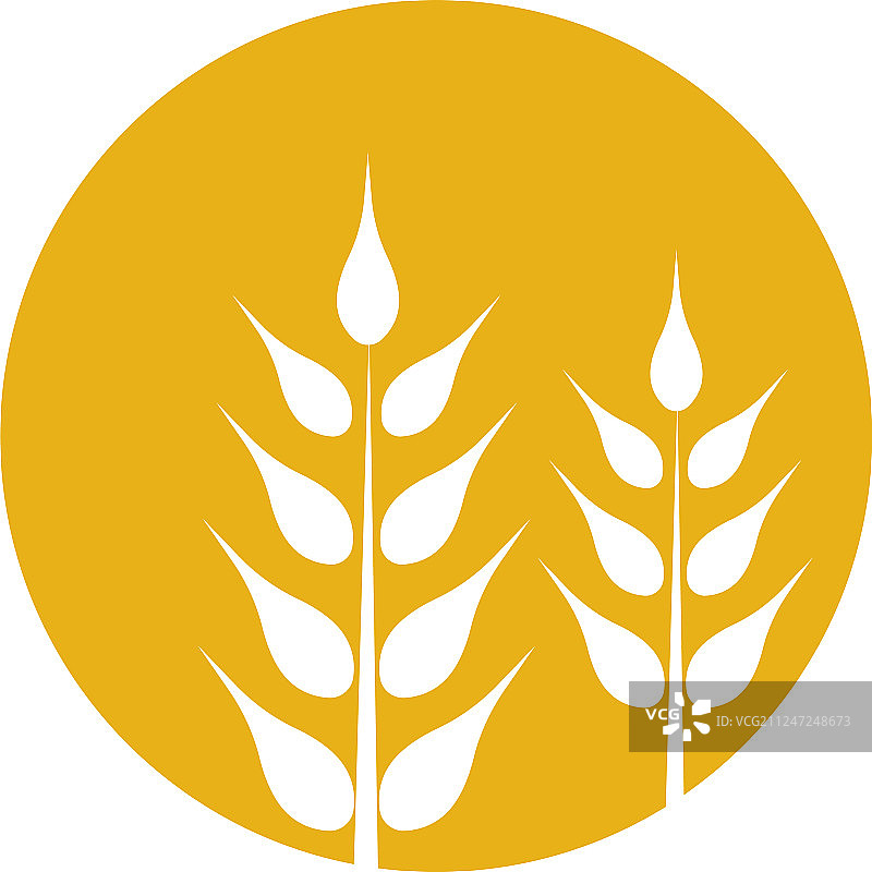 农业小麦图片素材