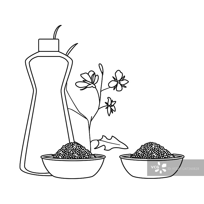 独立物体：芥末和油菜籽图标集图片素材