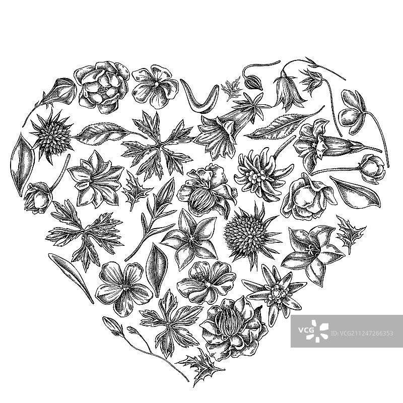 黑白心形花卉设计图片素材