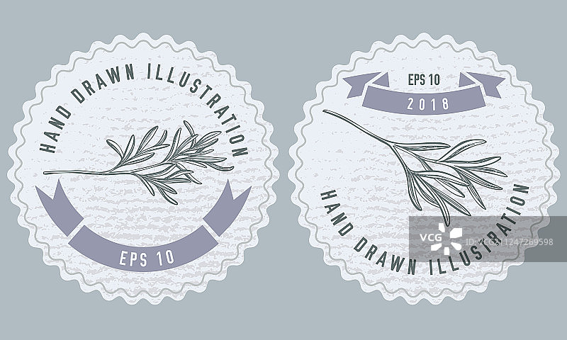 迷迭香单色标签素材图片素材