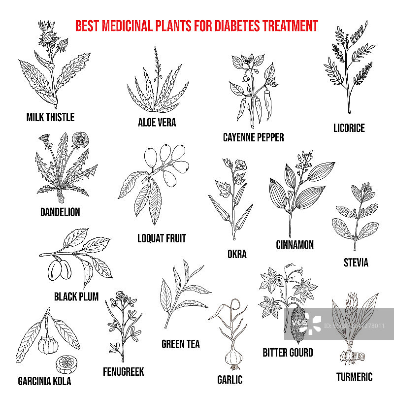 对抗糖尿病的草药和香料图片素材