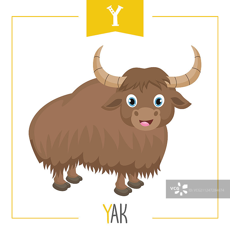 字母Y和牦牛图片素材