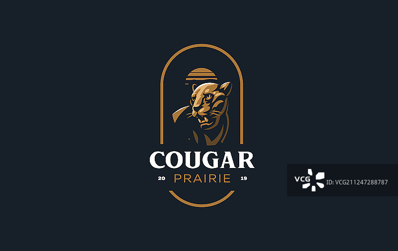 这是美洲狮或豹的形象图片素材