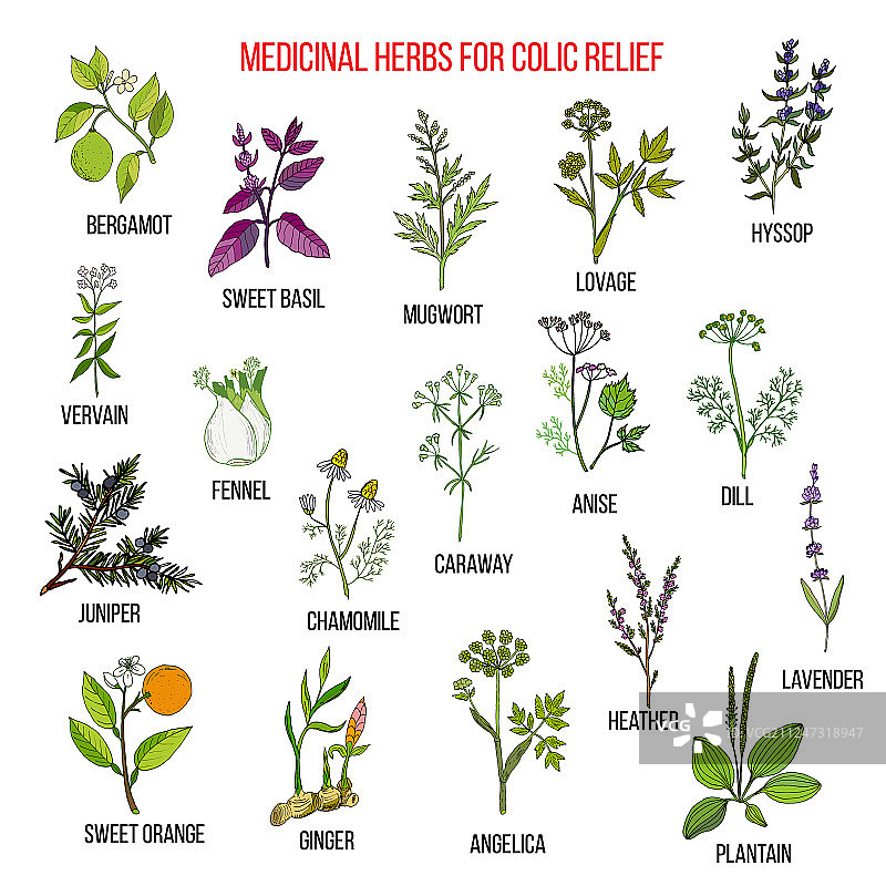 缓解绞痛的最佳草药疗法图片素材