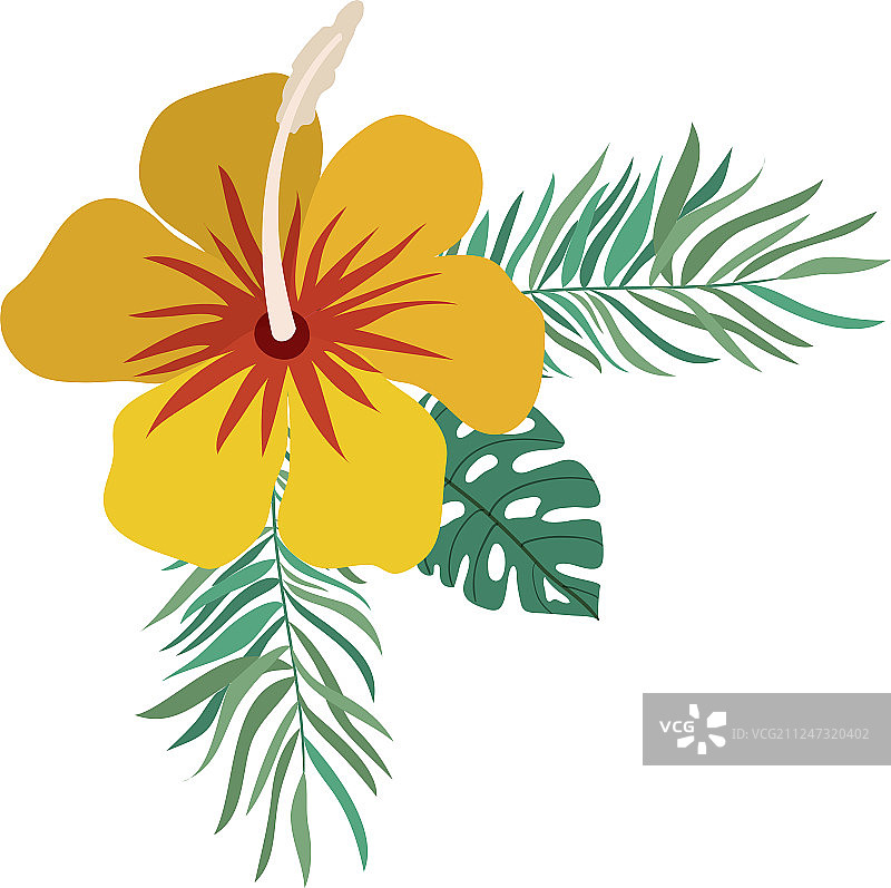 夏季花叶图案图片素材