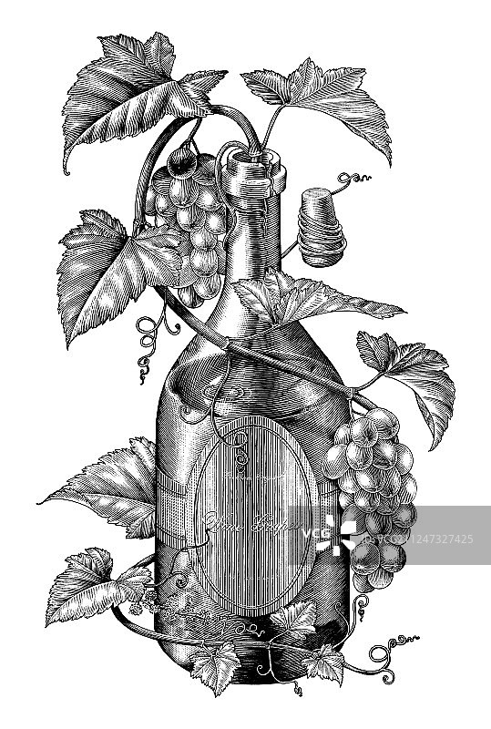 葡萄酒瓶黑白剪辑中的葡萄枝图片素材