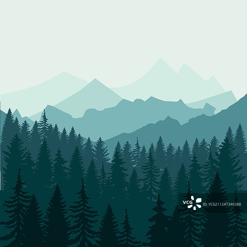 松树林和山脉背景全景图片素材