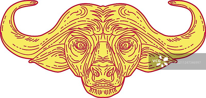非洲水牛头部单线轮廓图片素材