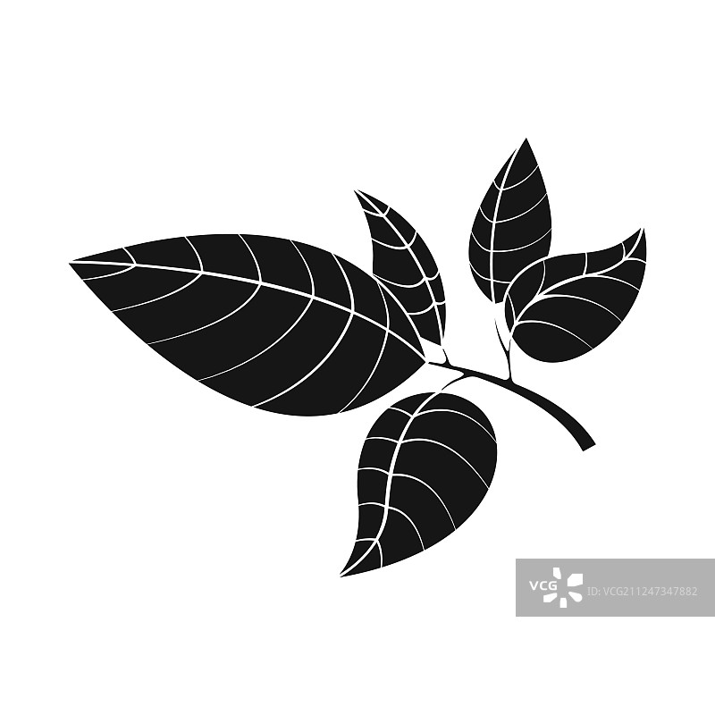 茶叶和叶子图标设计图片素材