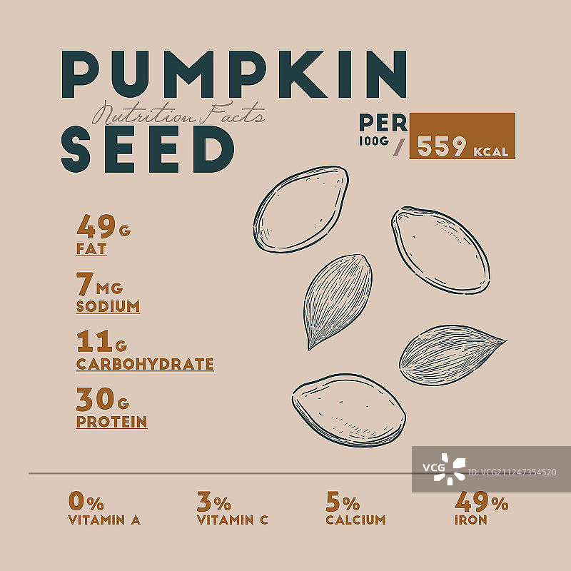 手绘南瓜籽营养成分表图片素材