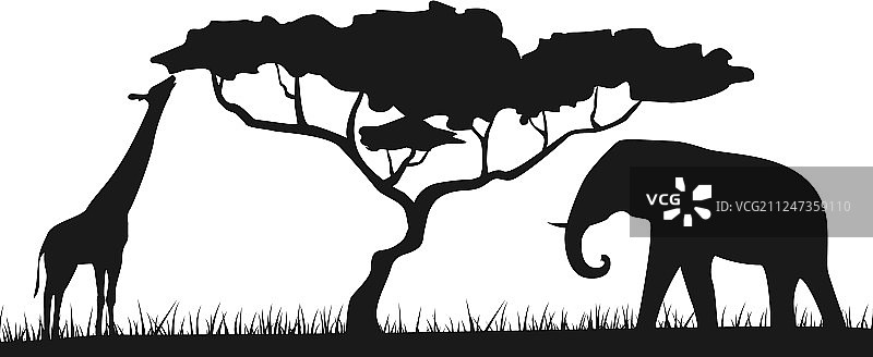非洲野生动物园动物剪影图片素材