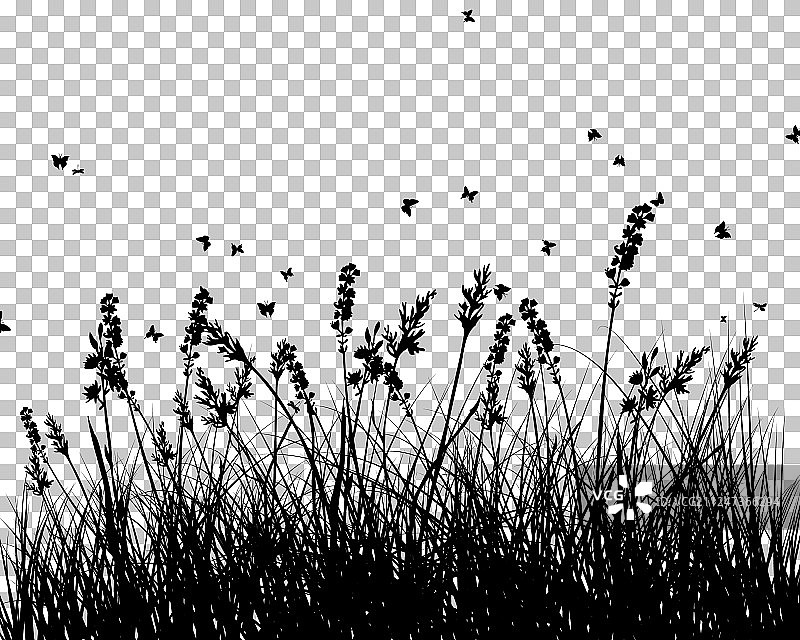 草地背景图片素材