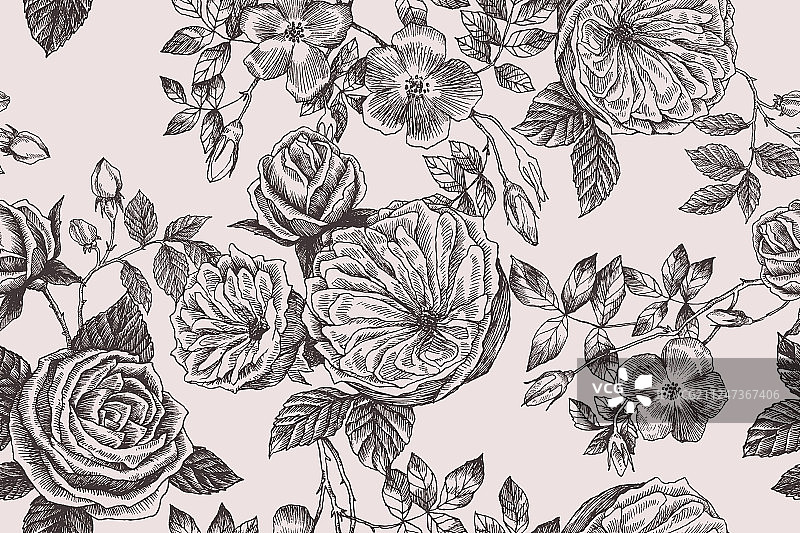 野玫瑰花枝无缝图案图片素材