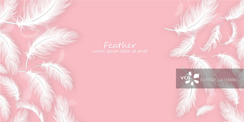 逼真的白色羽毛背景图片素材