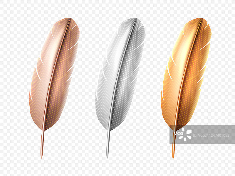 孤立的鸟类逼真羽毛笔合集图片素材