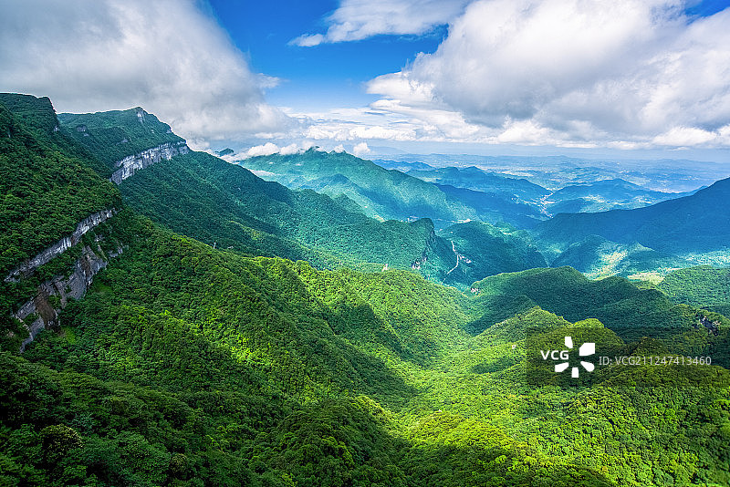 金佛山的夏天图片素材