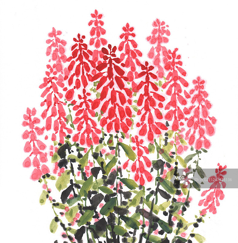 中国画水墨画窜窜红图片素材