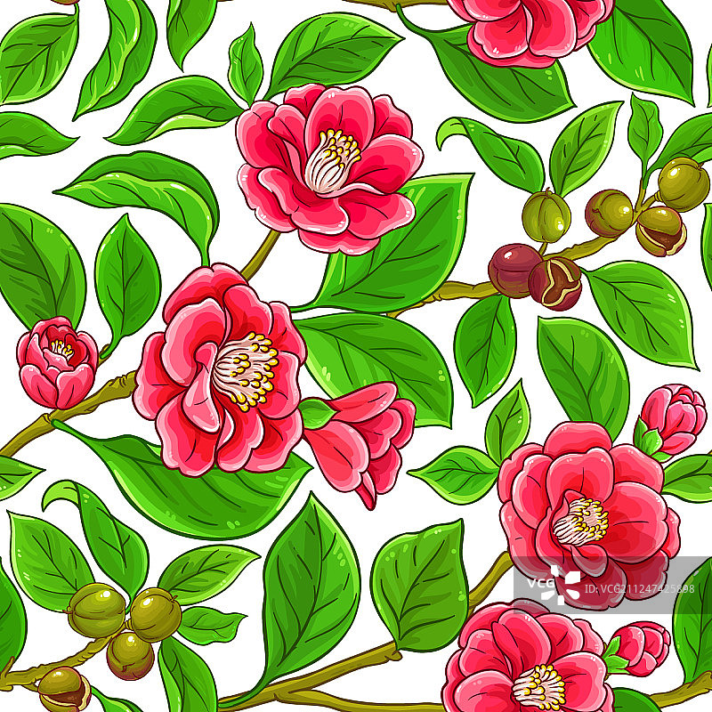 山茶花枝图案图片素材