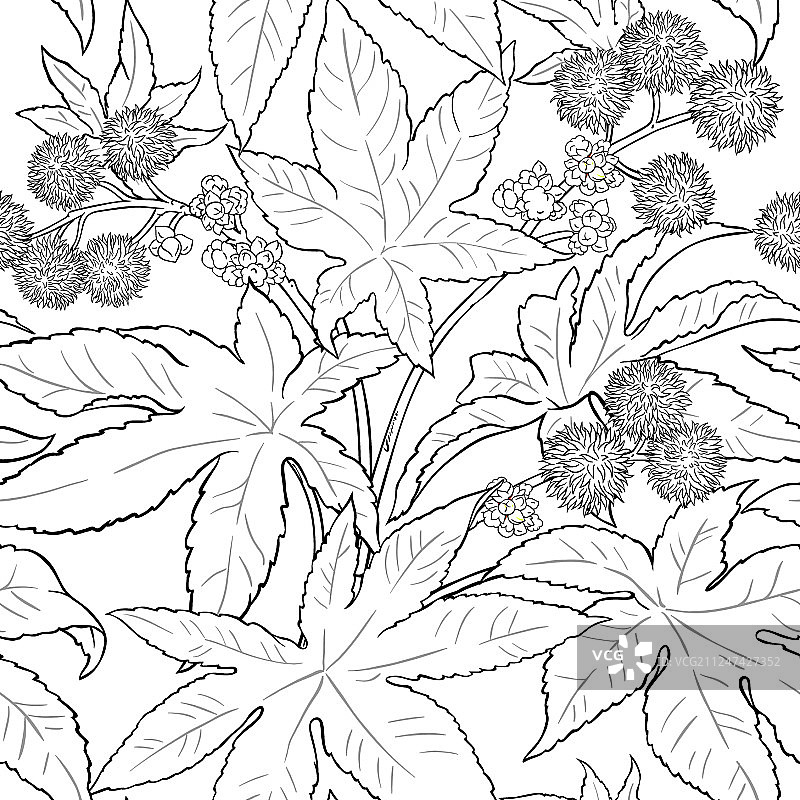 蓖麻图案图片素材