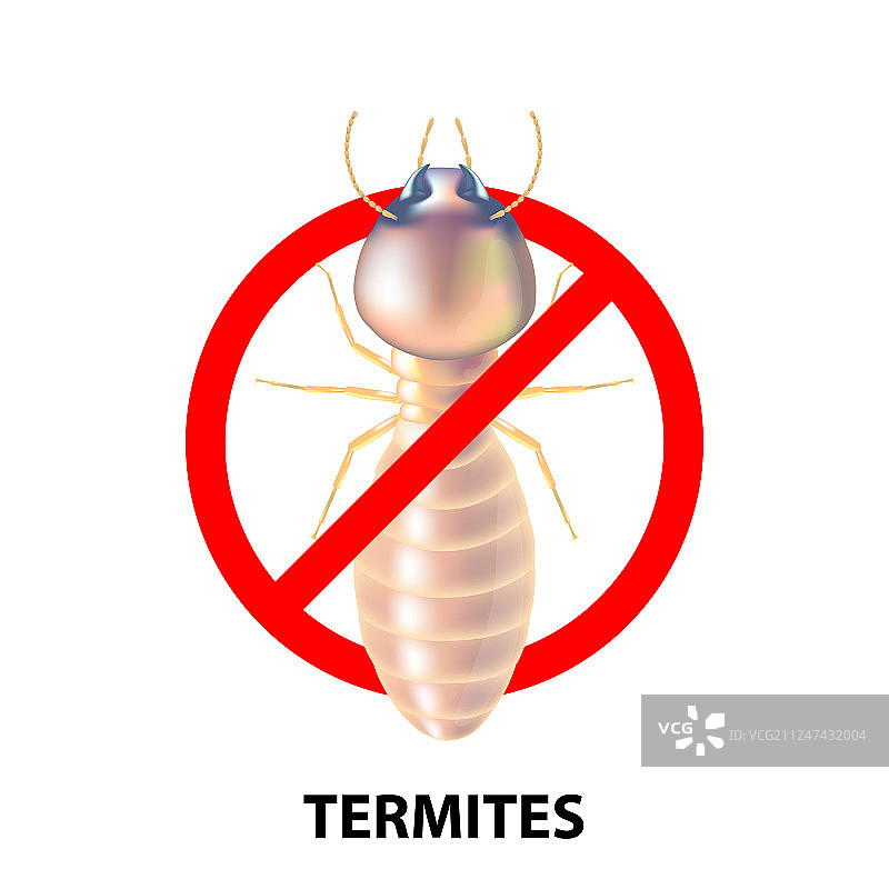 停止白蚁图片素材