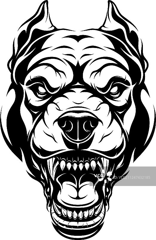 凶猛的比特犬头部图片素材