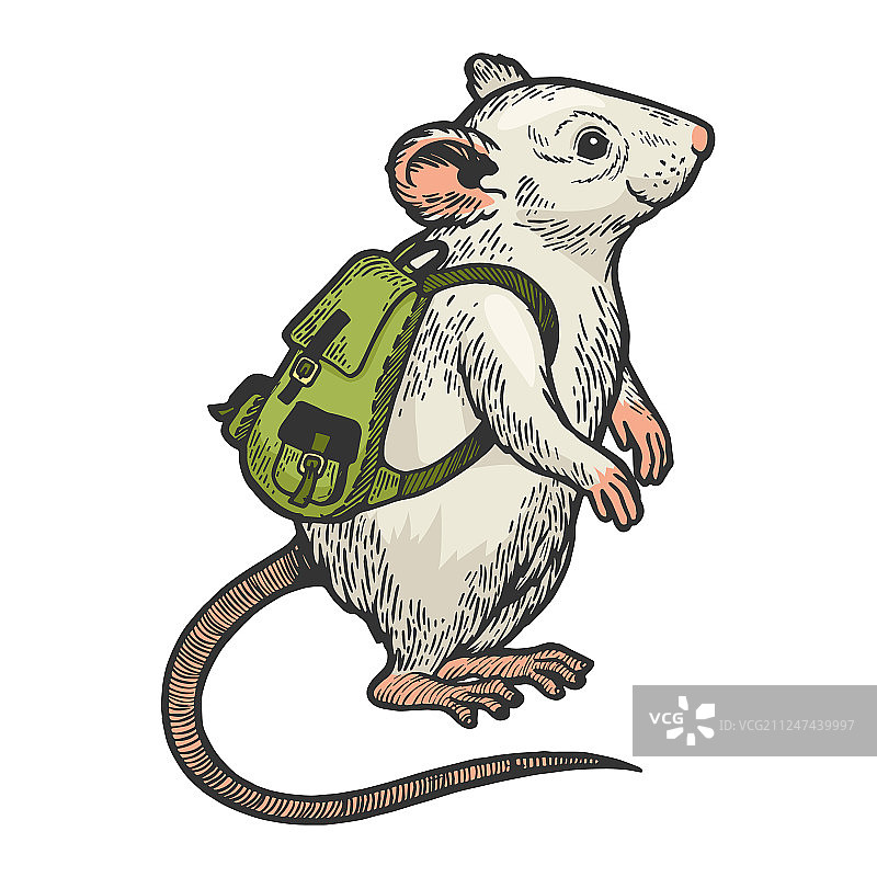 卡通老鼠和背包彩色速写图片素材