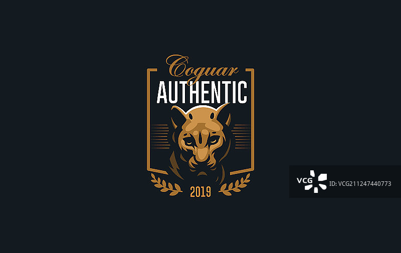 美洲狮或黑豹的图像图片素材