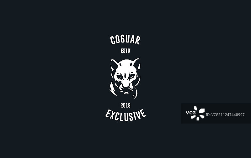 美洲狮或黑豹的图像图片素材