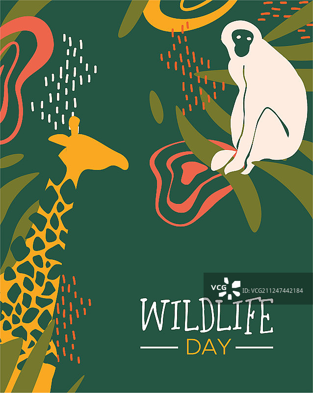 野生动物园野生动物主题卡片图片素材