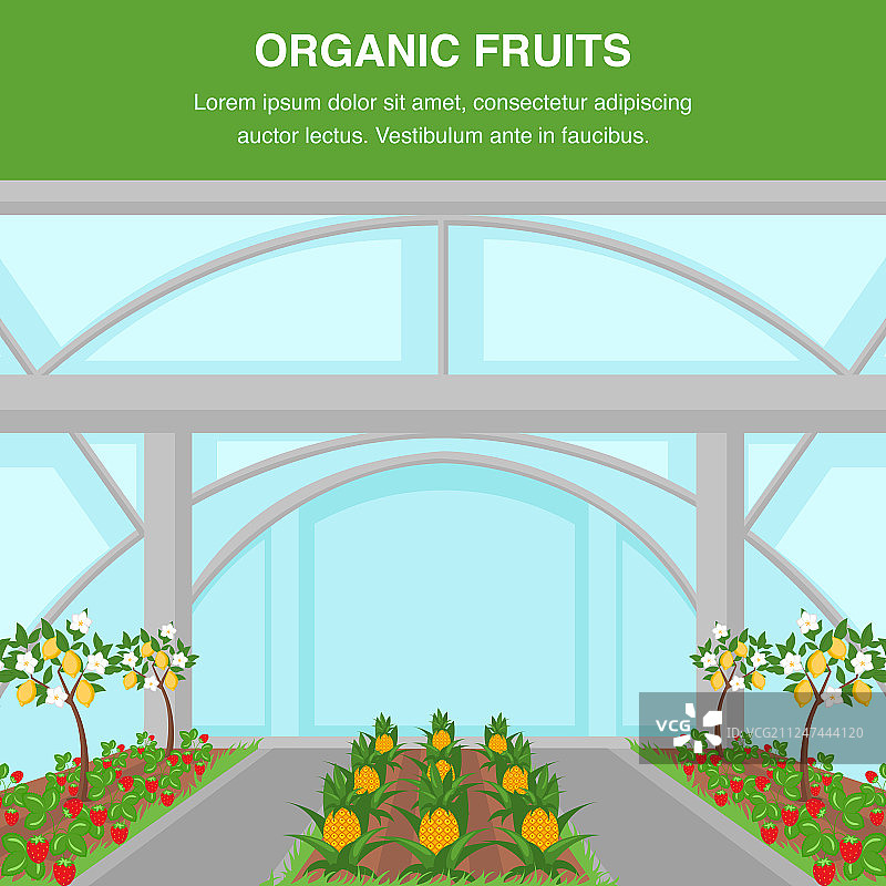 有机水果室内种植海报模板图片素材