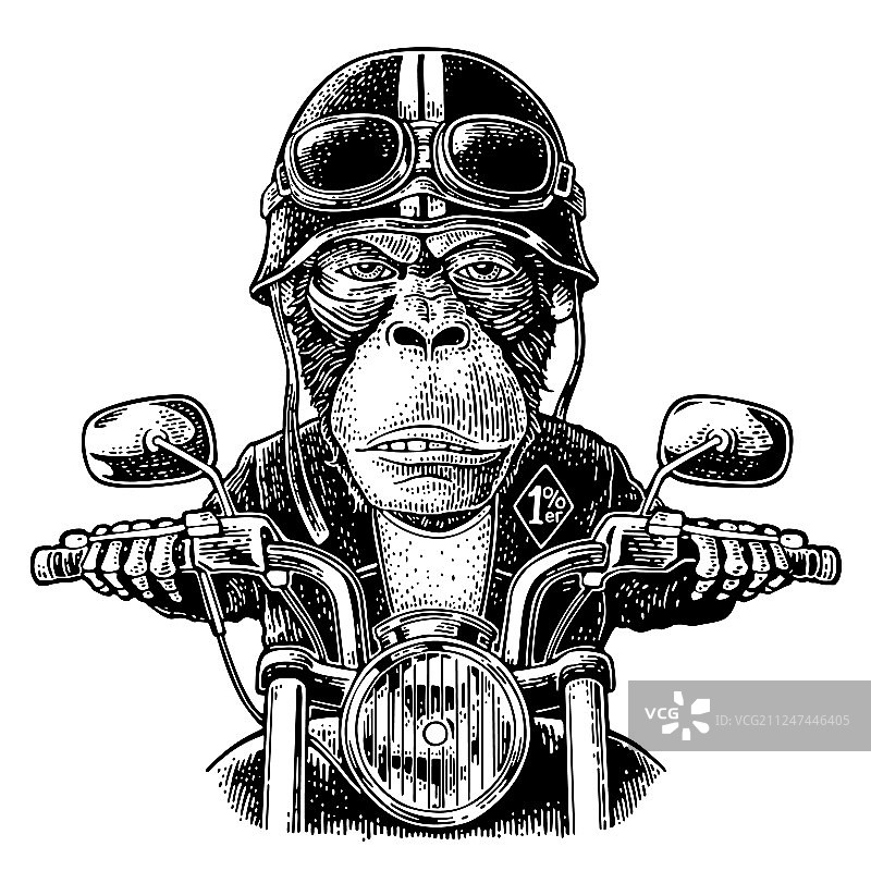 猴子驾驶复古摩托车图片素材