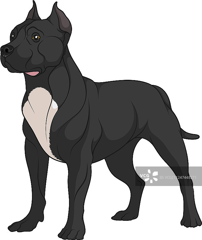 彩色黑比特犬图片素材