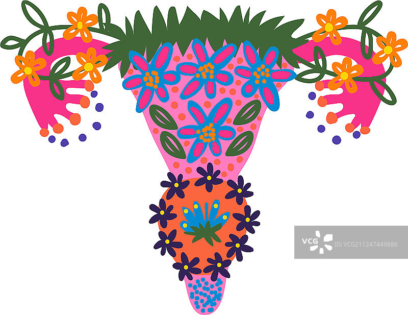 盛开的女性生殖器官图片素材