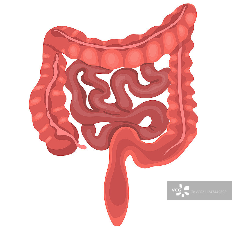 逼真扁平风格大小物件图片素材