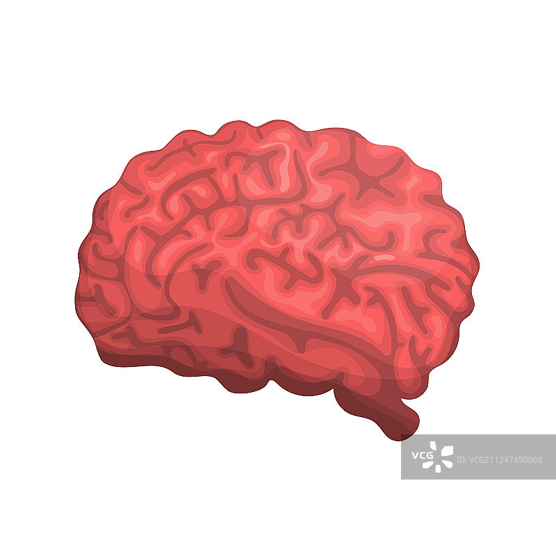 医疗App的脑部侧视图标图片素材