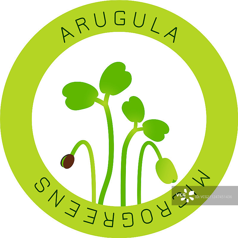 圆形芝麻菜种子微型蔬菜包装设计图片素材