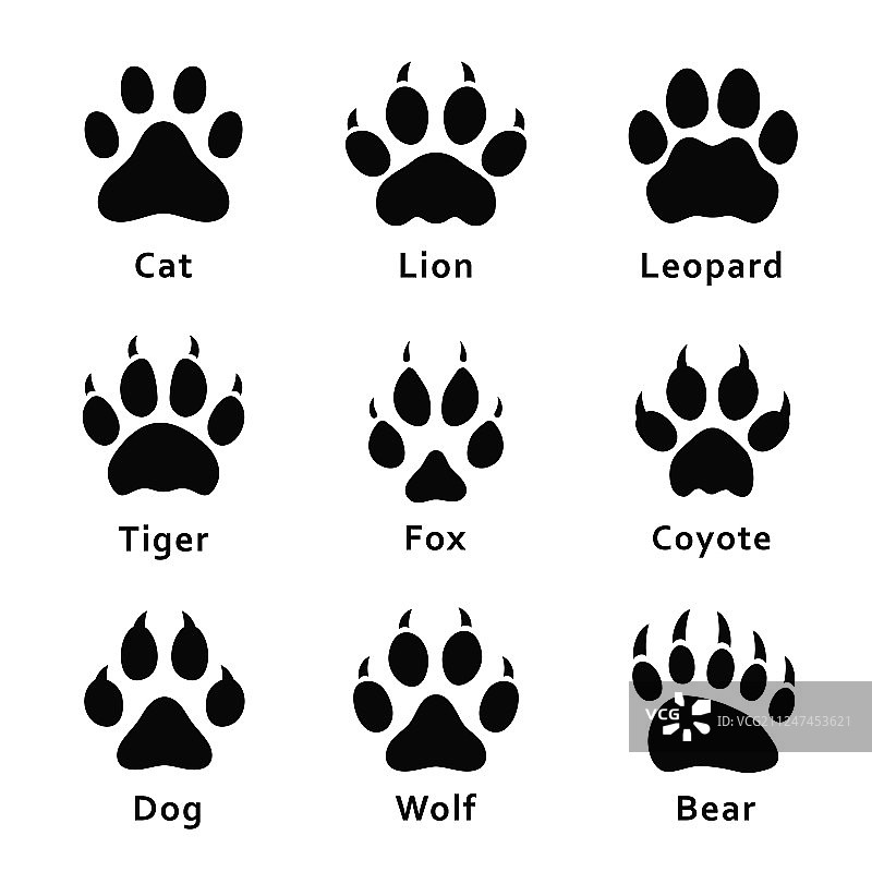不同动物的脚印爪印图片素材