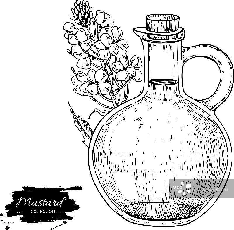 一瓶芥末油与植物图片素材