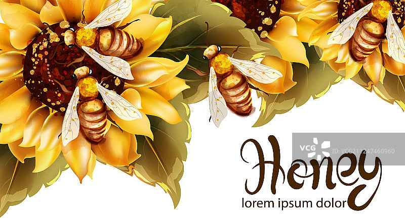 水彩向日葵蜂蜜图片素材