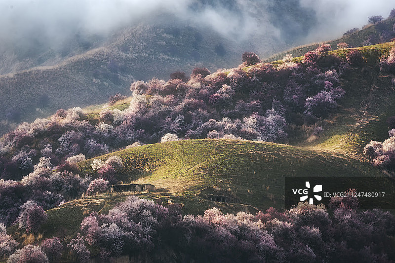 杏花沟 安集海大峡谷 红山大峡谷 赛里木湖图片素材