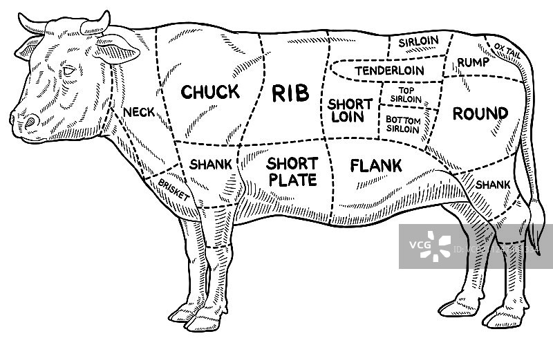 卡通牛肉分割图线条艺术图片素材