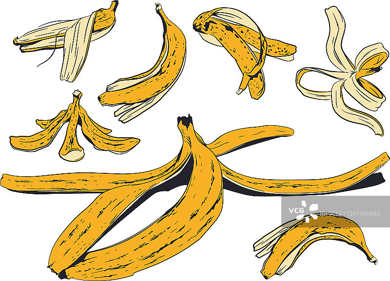 香蕉皮库存素材图片素材