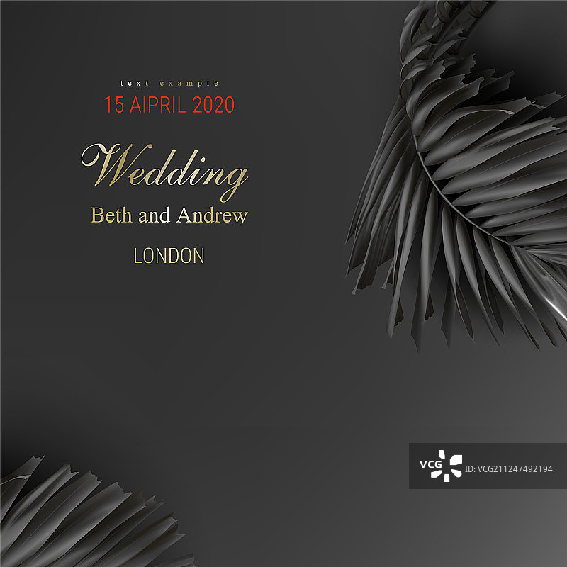 深色背景上的热带黑色棕榈叶图片素材